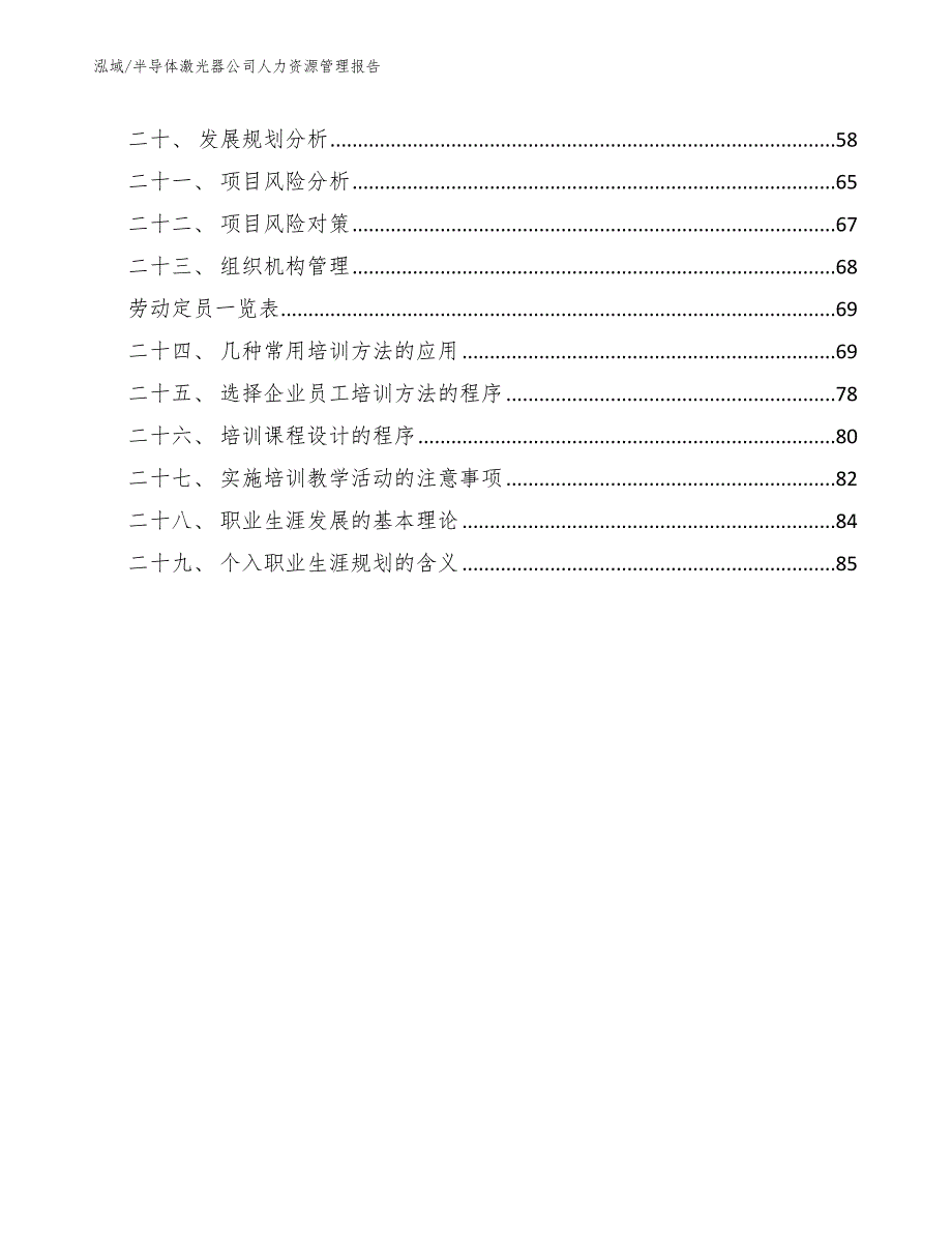 半导体激光器公司人力资源管理报告_范文_第2页