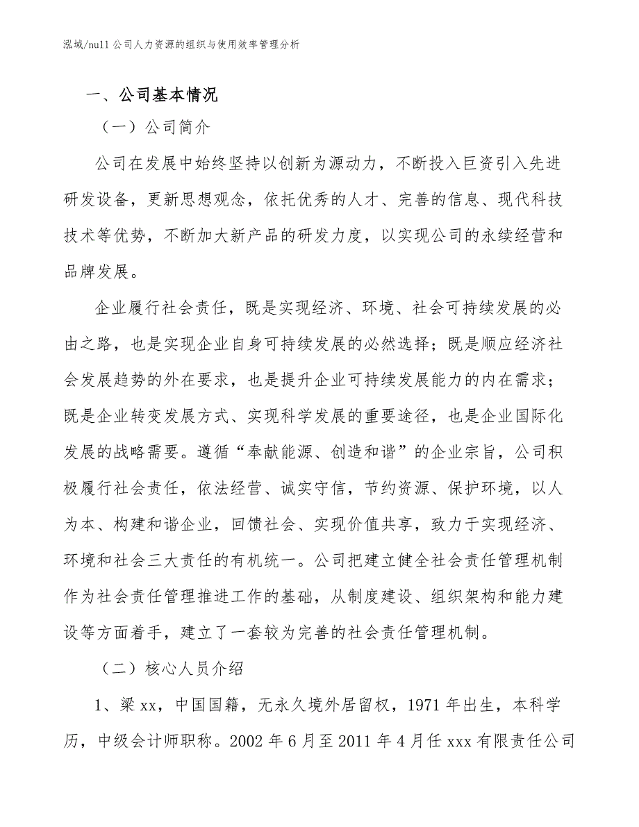 null公司人力资源的组织与使用效率管理分析_第2页