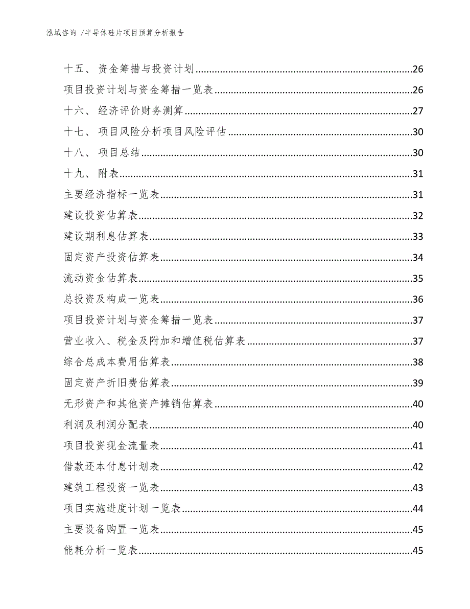 半导体硅片项目预算分析报告_模板_第3页