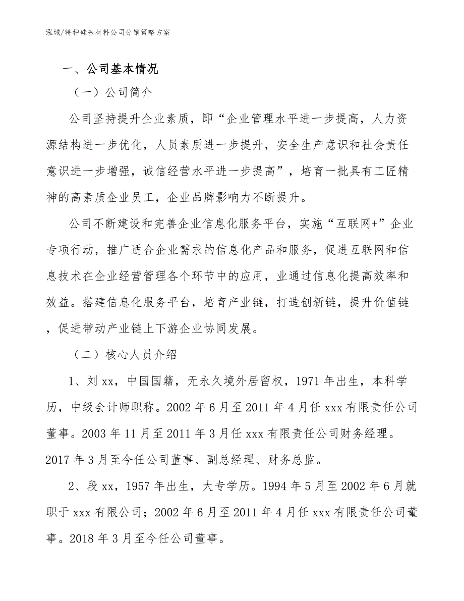 特种硅基材料公司分销策略方案（参考）_第2页