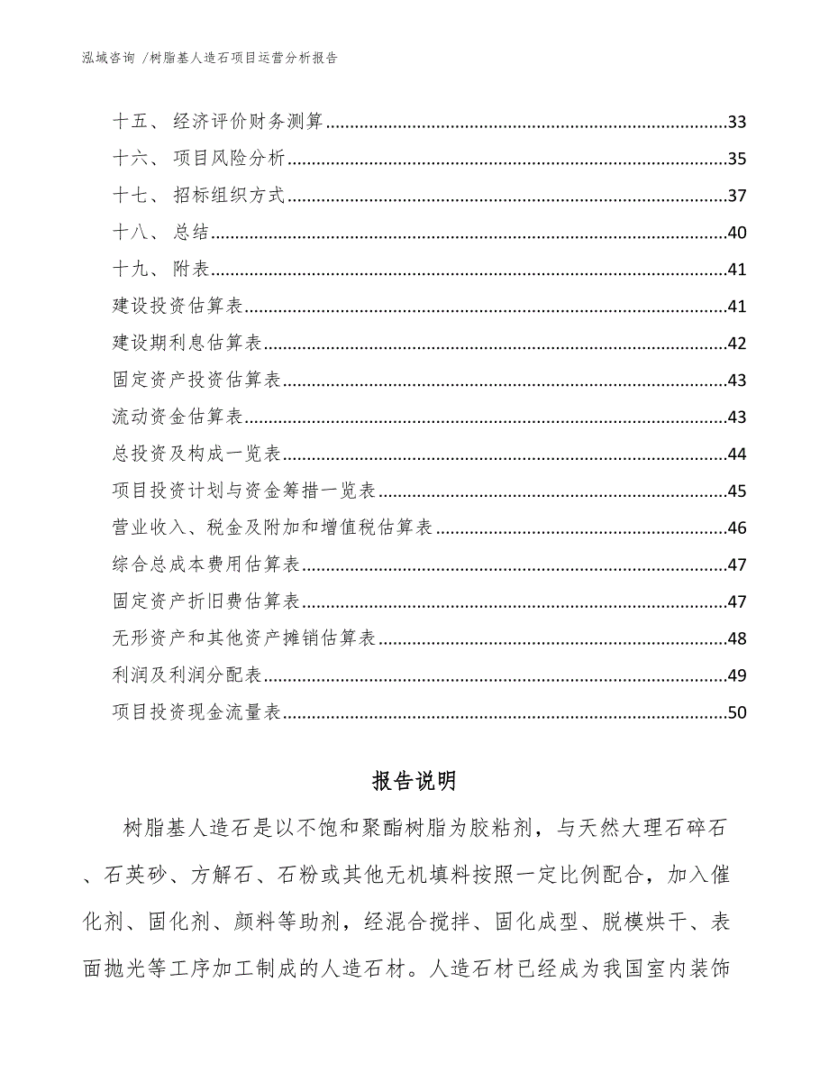 树脂基人造石项目运营分析报告（范文参考）_第2页