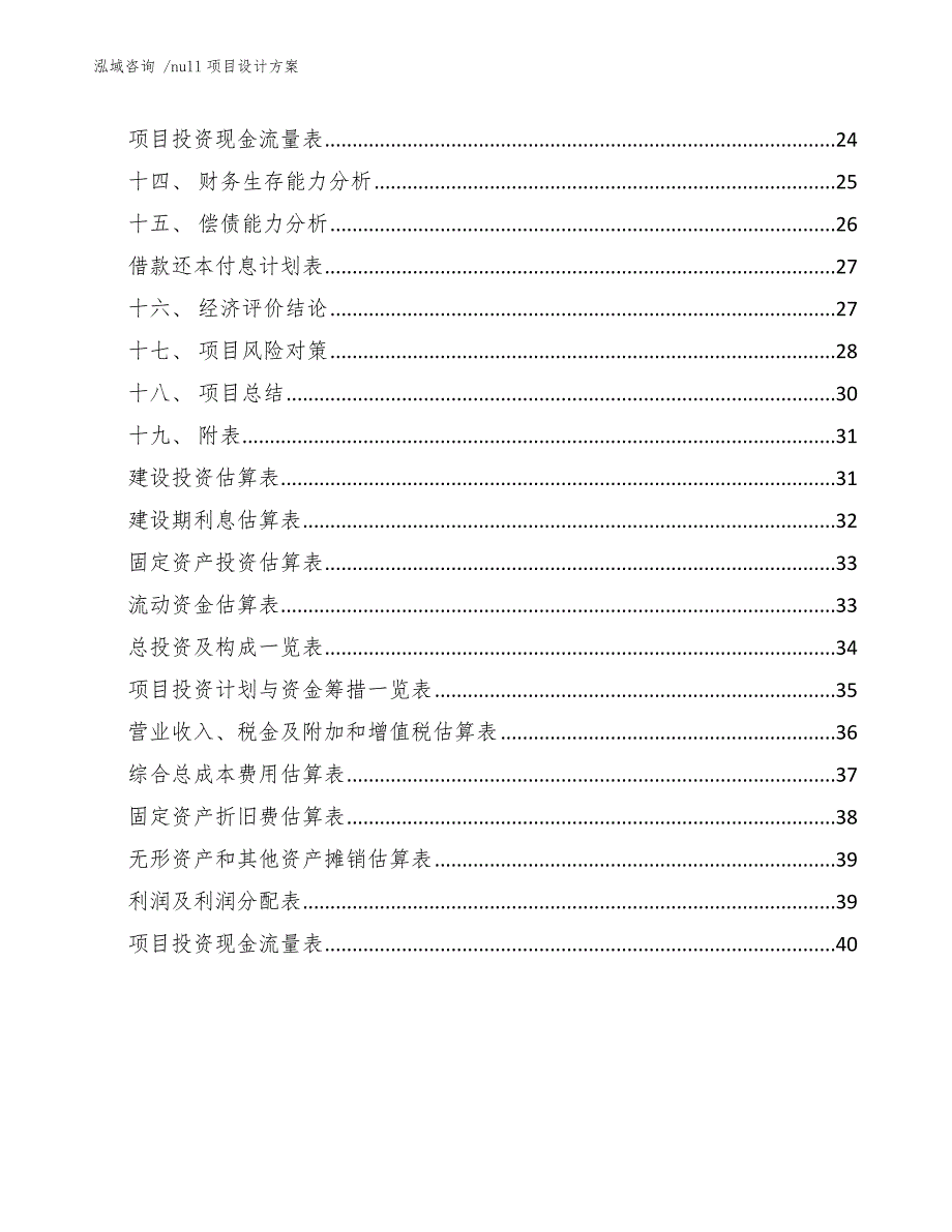 null项目设计方案_范文_第2页