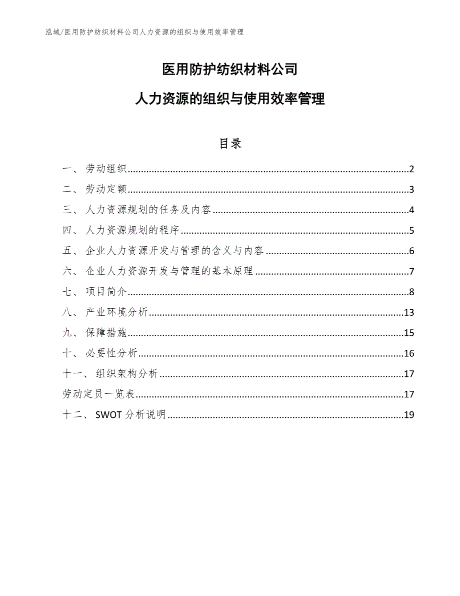 医用防护纺织材料公司人力资源的组织与使用效率管理_第1页