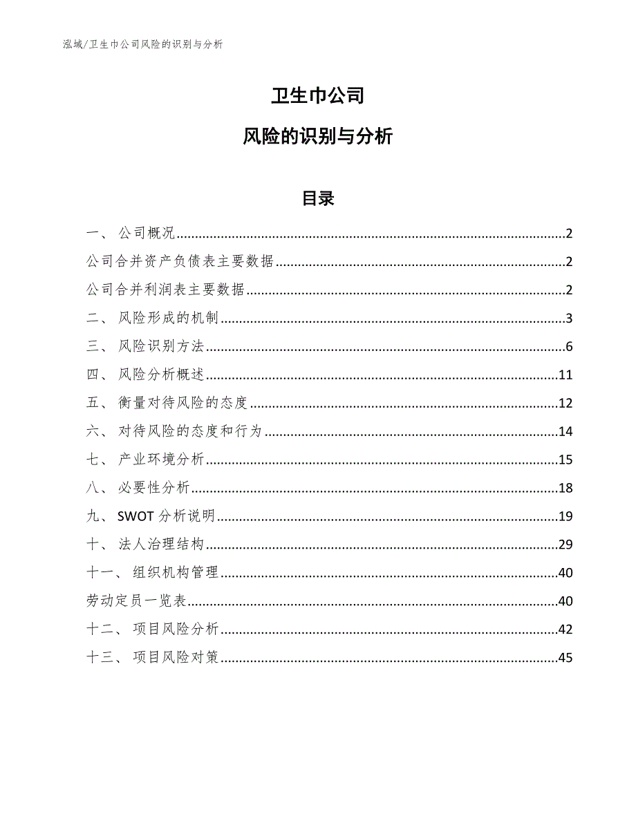 卫生巾公司风险的识别与分析_第1页