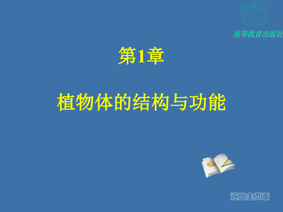 第三节-植物体营养器官的结构和功能课件_第1页