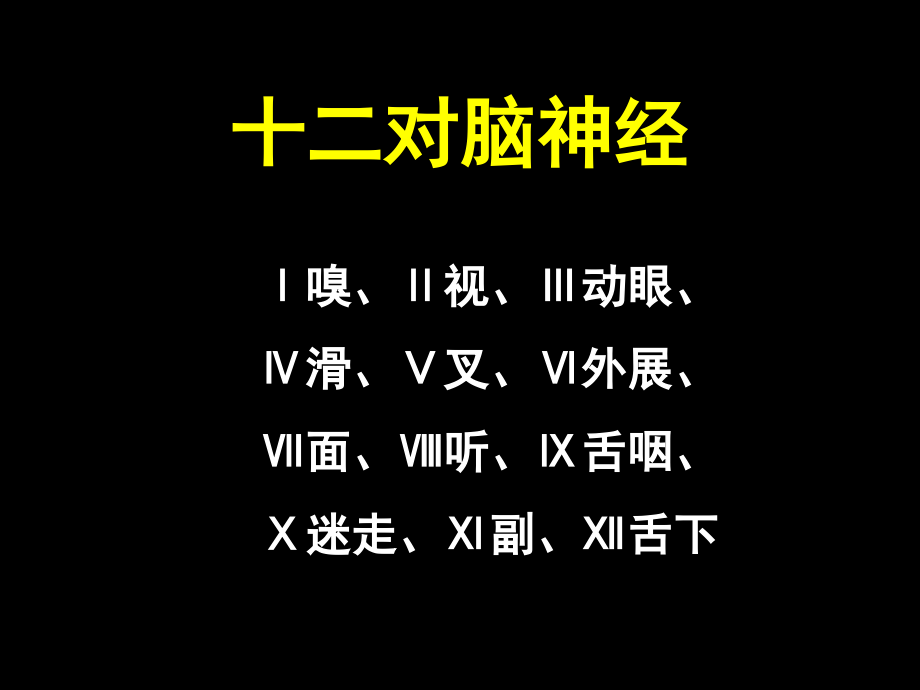 第2章NS解剖、生理、病损的定位诊断课件_第3页