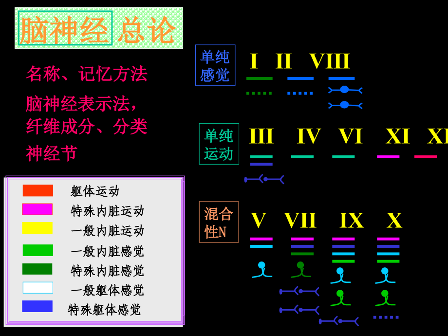 第2章NS解剖、生理、病损的定位诊断课件_第4页