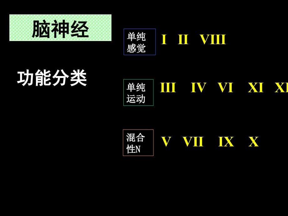 第2章NS解剖、生理、病损的定位诊断课件_第5页