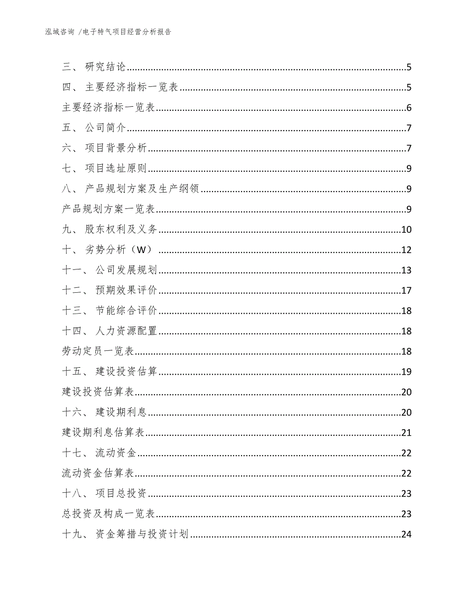 电子特气项目经营分析报告-范文参考_第2页