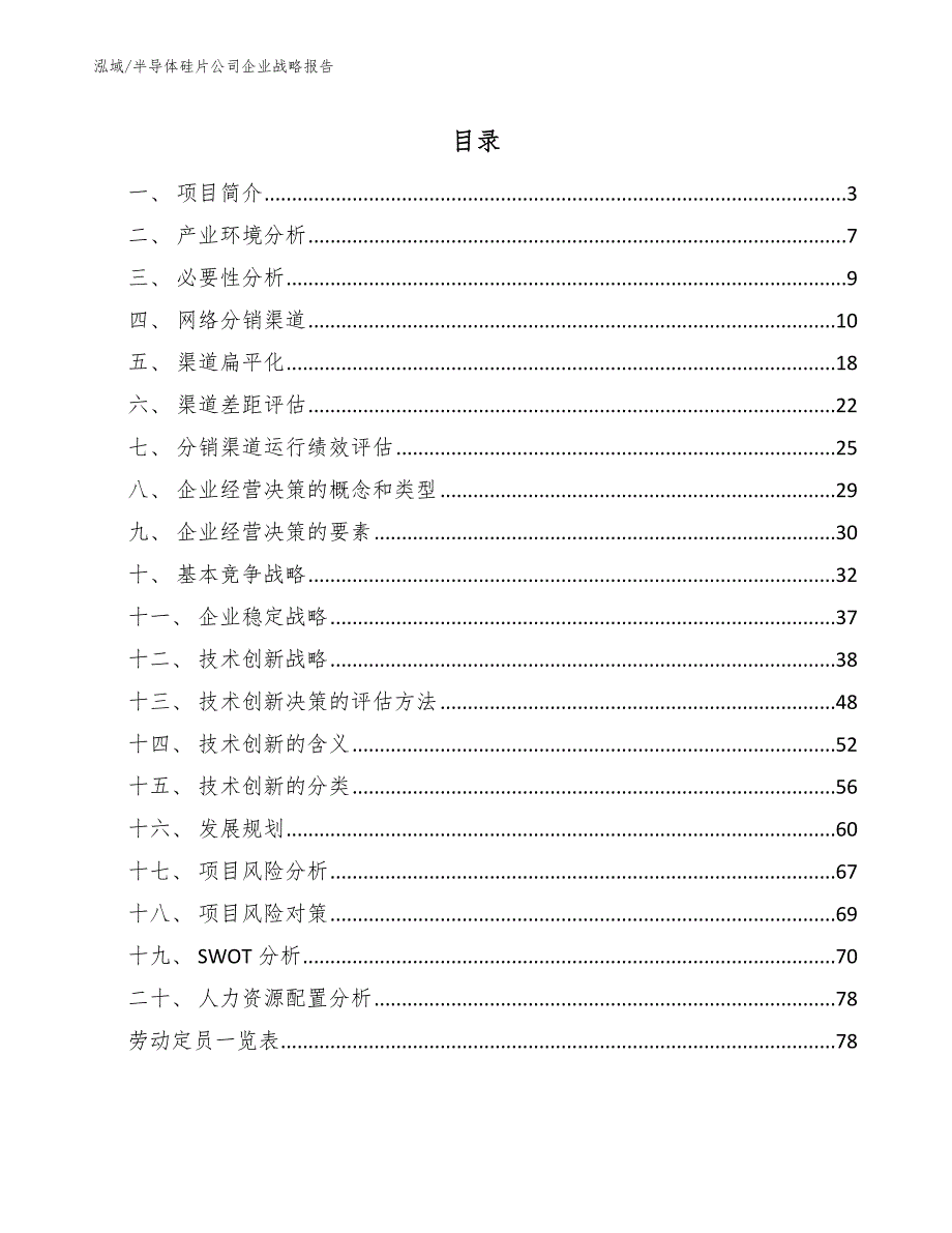 半导体硅片公司企业战略报告_范文_第2页