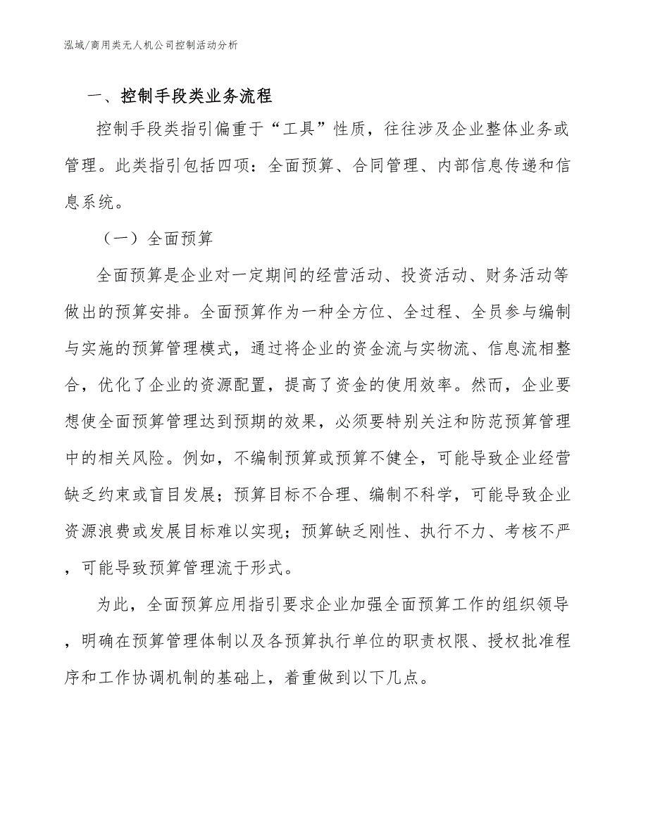 商用类无人机公司控制活动分析_参考_第2页