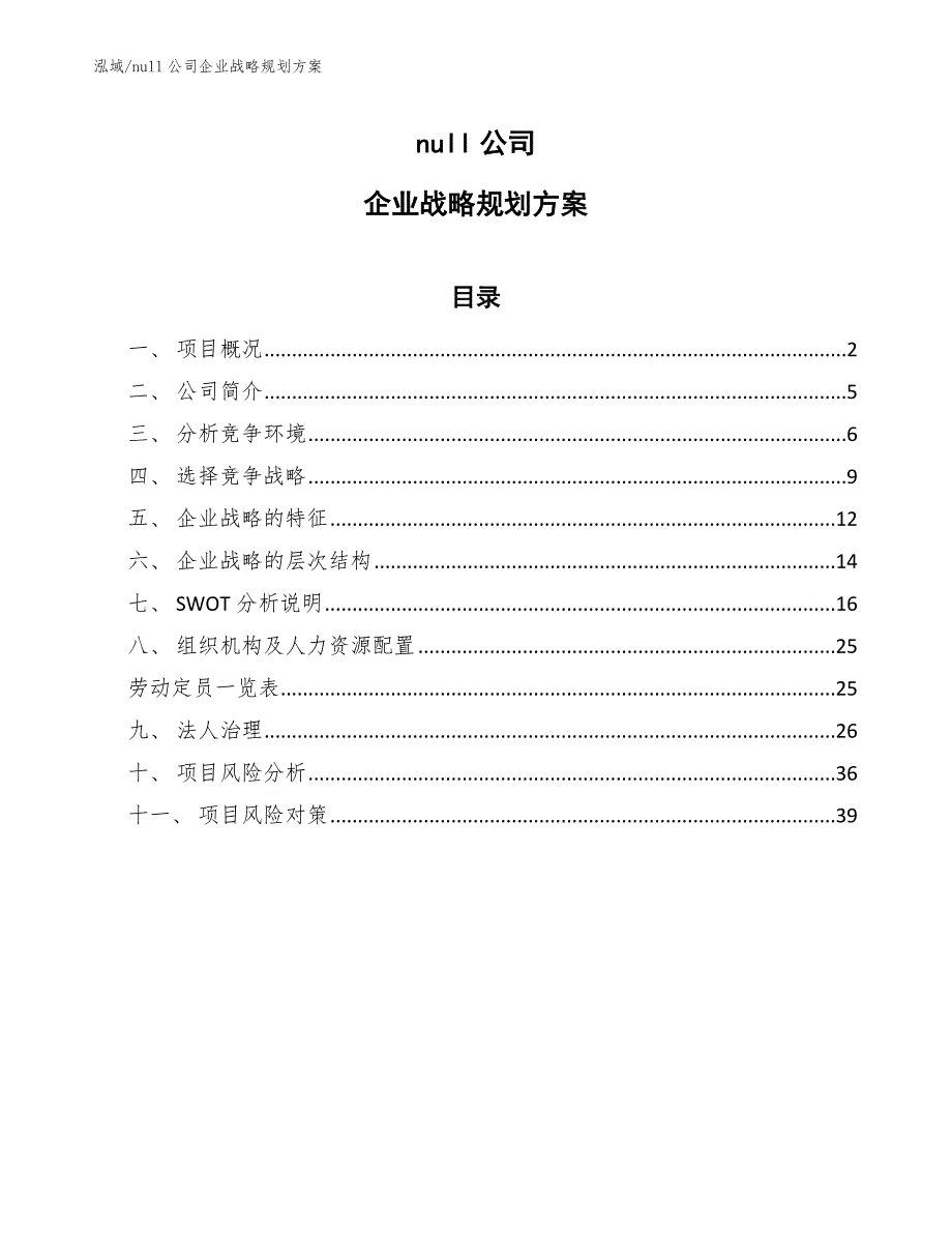 null公司企业战略规划方案_第1页