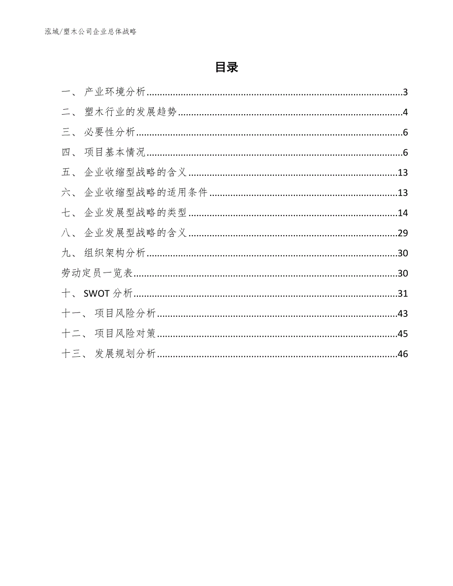 塑木公司企业总体战略_第2页