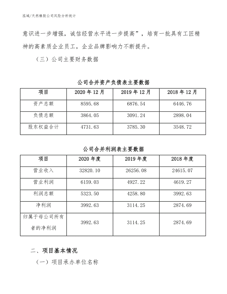 天然橡胶公司风险分析统计_参考_第4页