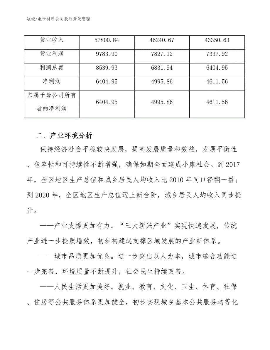 电子材料公司股利分配管理_范文_第5页