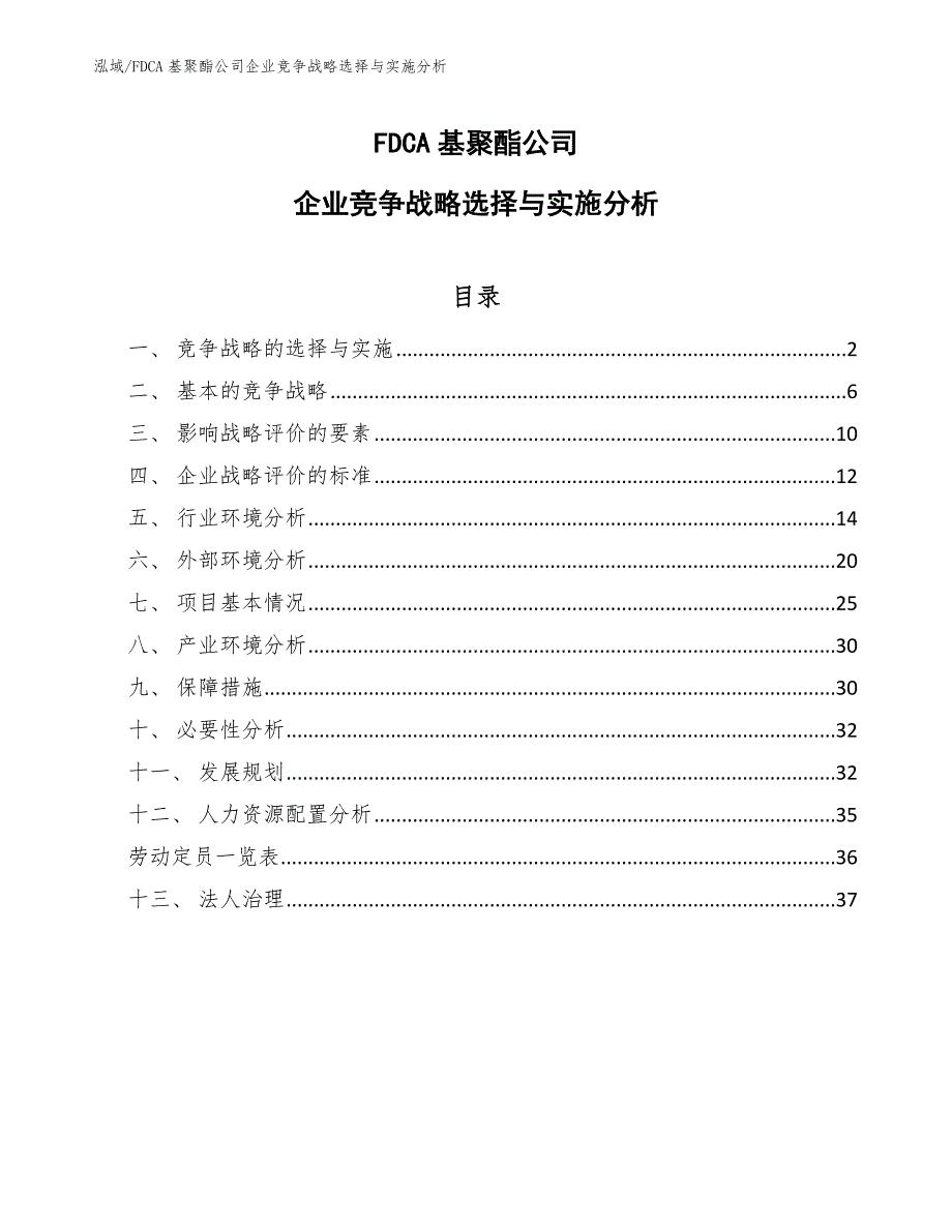 FDCA基聚酯公司企业竞争战略选择与实施分析_参考_第1页