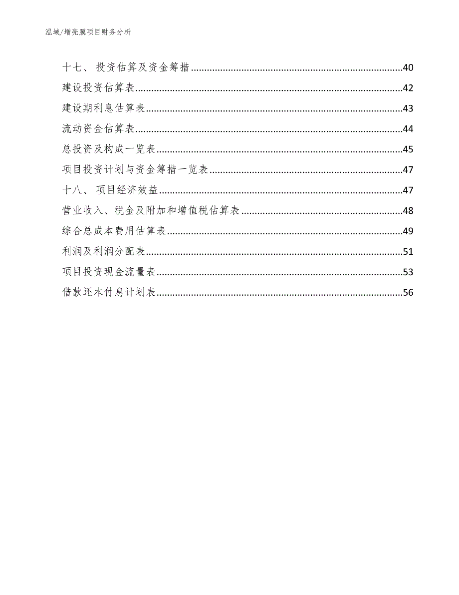 增亮膜项目财务分析_范文_第2页