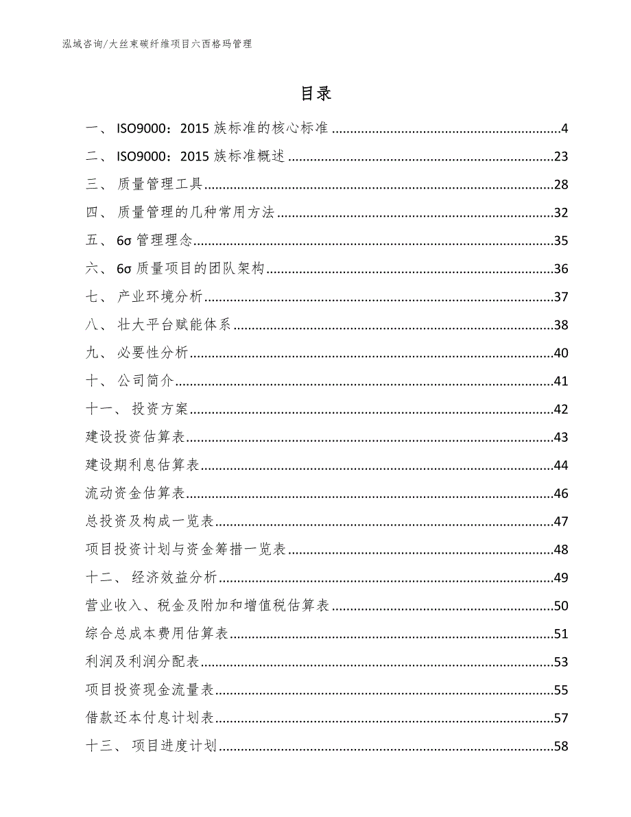 大丝束碳纤维项目六西格玛管理_范文_第2页