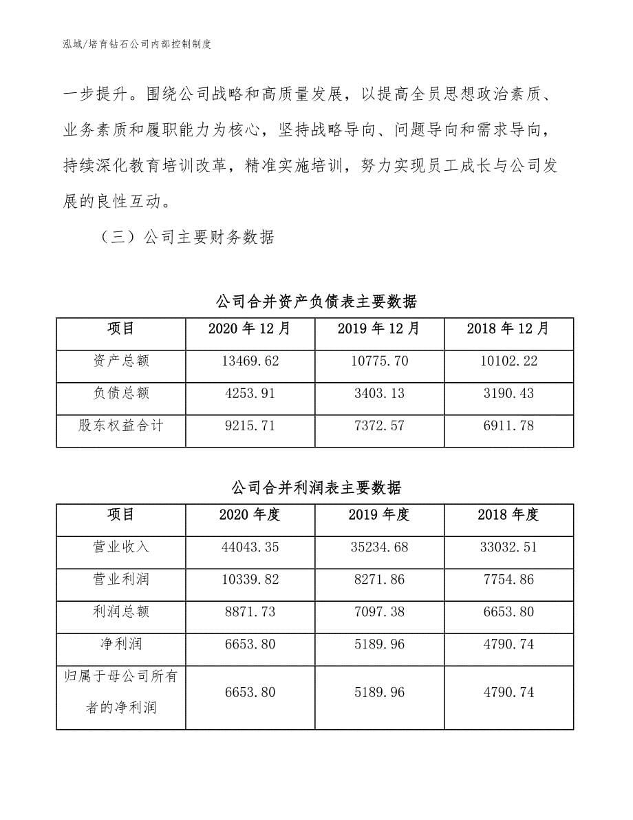 培育钻石公司内部控制制度_第5页