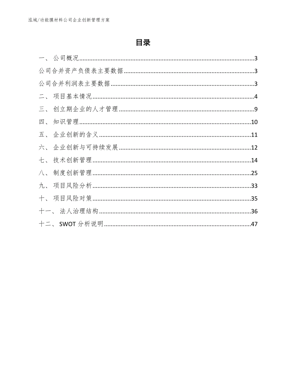 功能膜材料公司企业创新管理方案【范文】_第2页