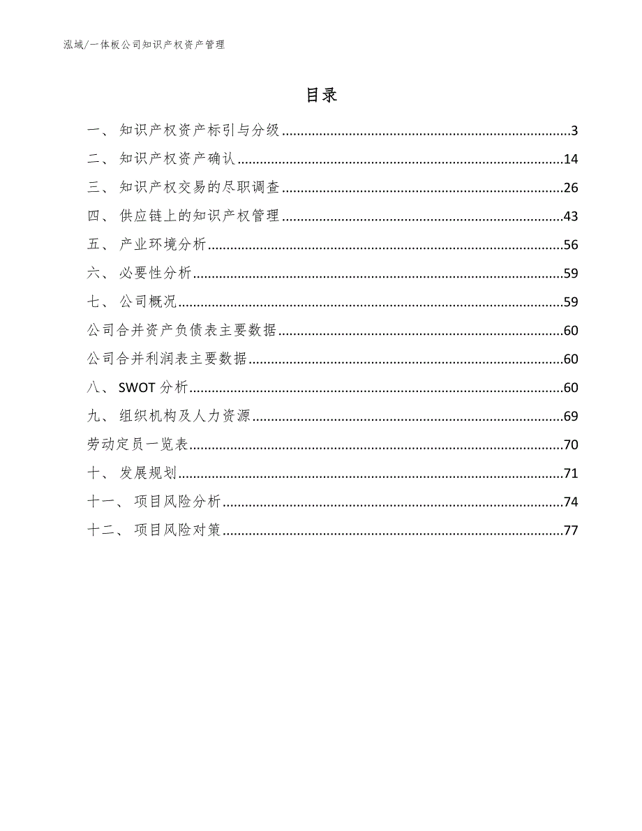 一体板公司知识产权资产管理_第2页