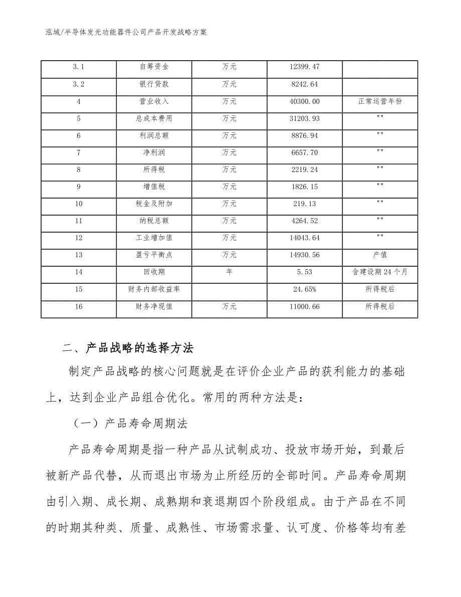 半导体发光功能器件公司产品开发战略方案_范文_第5页