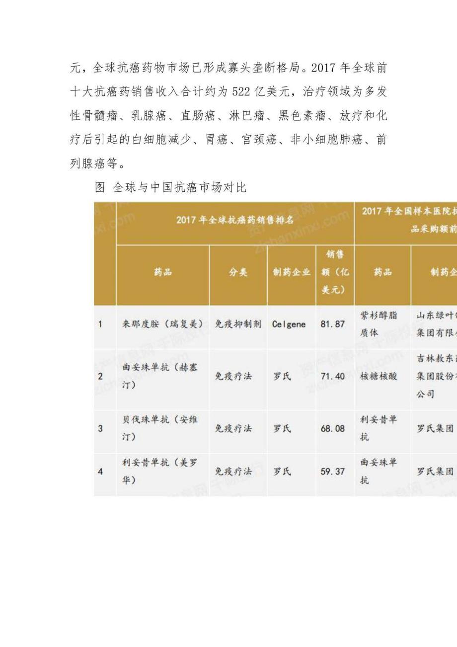 2022年抗癌行业研究报告_第4页