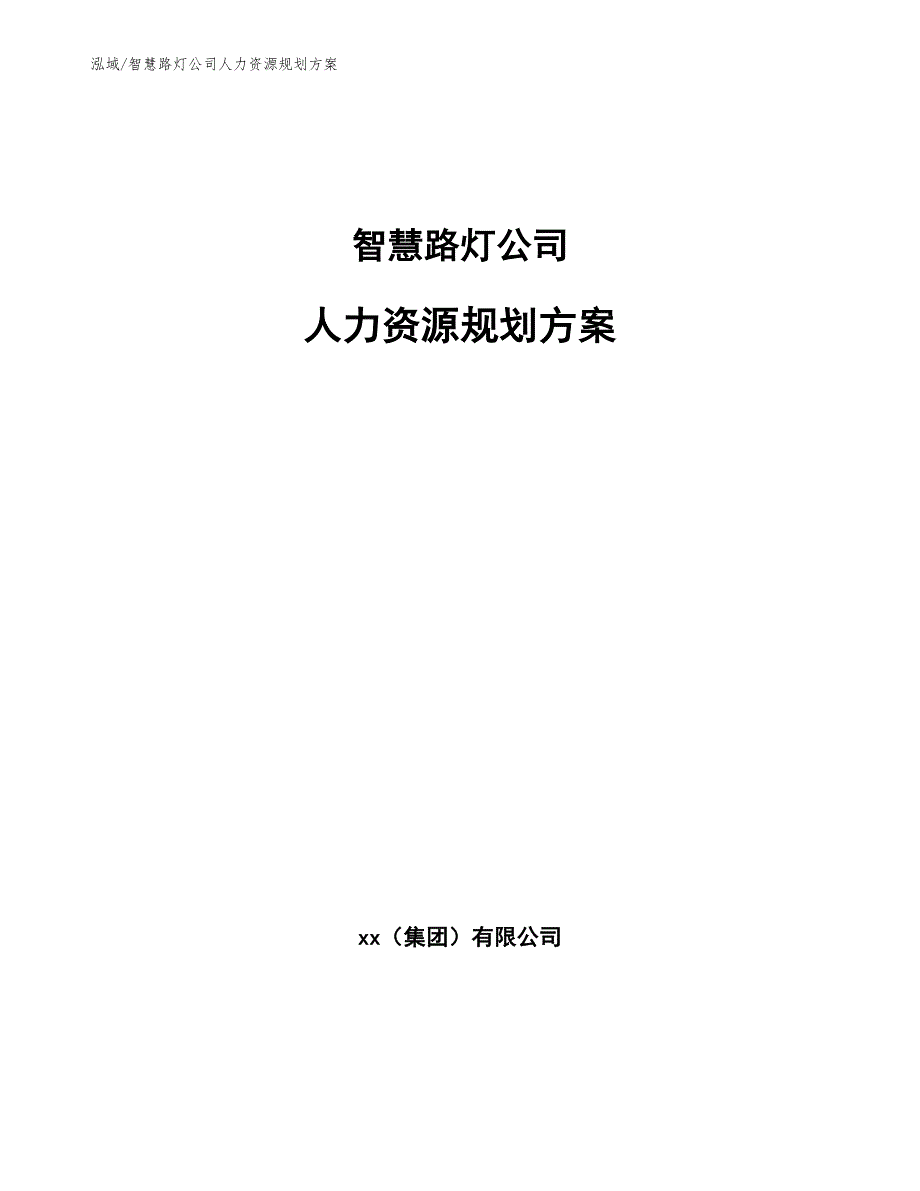 智慧路灯公司人力资源规划方案_第1页