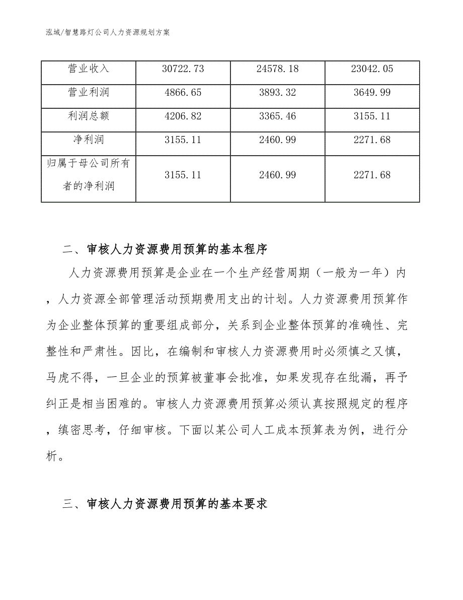 智慧路灯公司人力资源规划方案_第4页