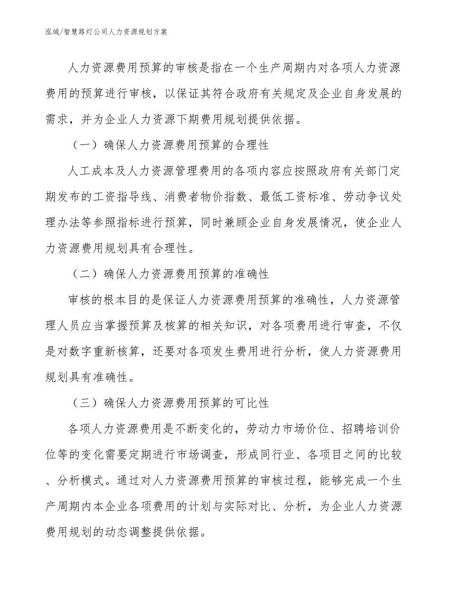 智慧路灯公司人力资源规划方案_第5页