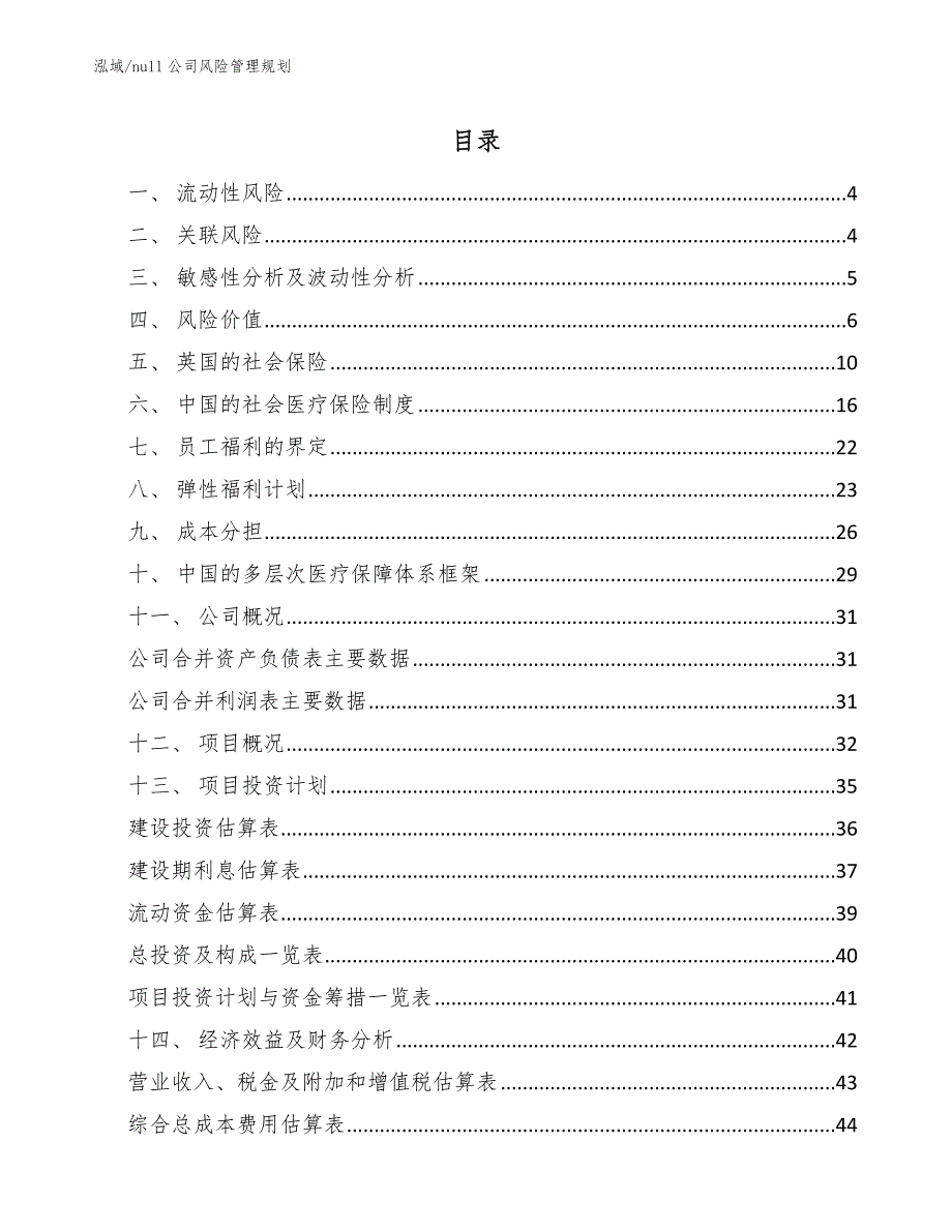 null公司风险管理规划【范文】_第2页