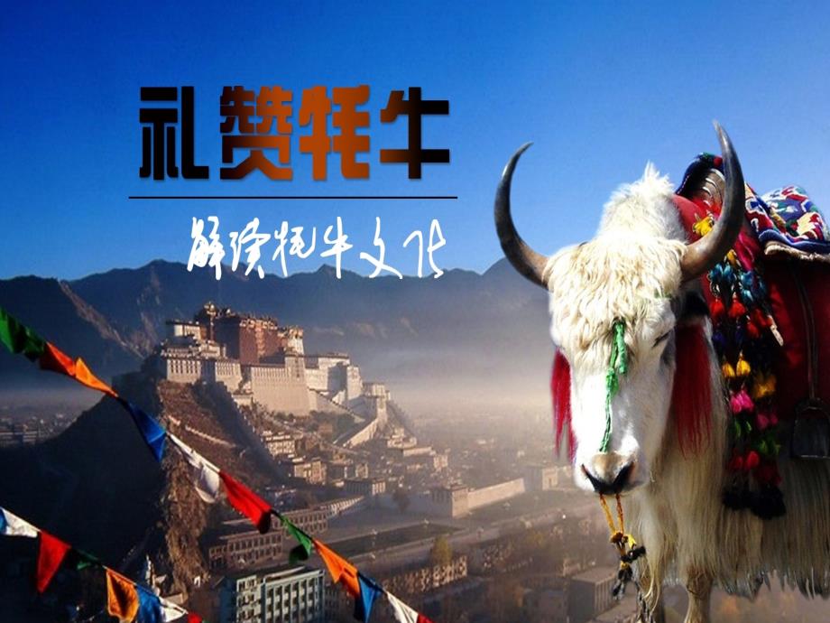 牦牛文化(新)ok课件_第1页