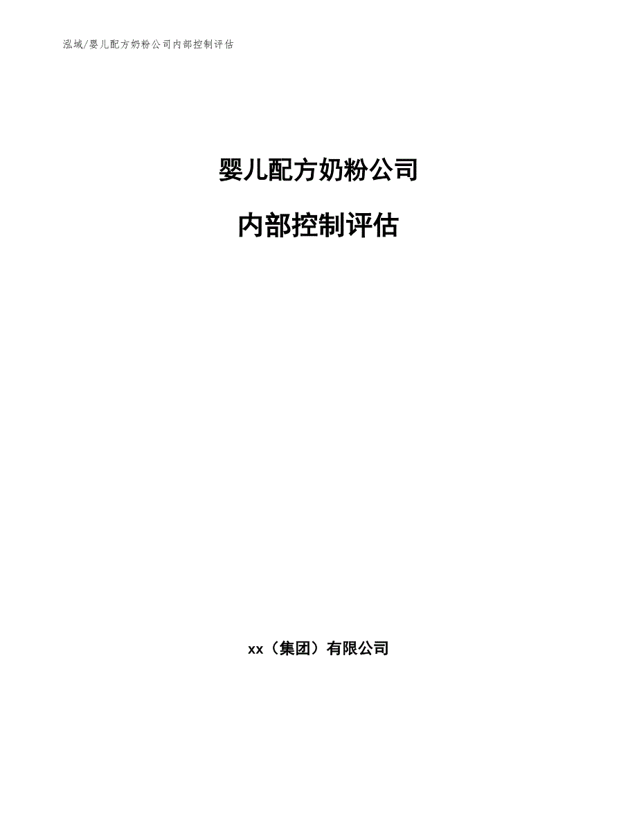 婴儿配方奶粉公司内部控制评估（参考）_第1页