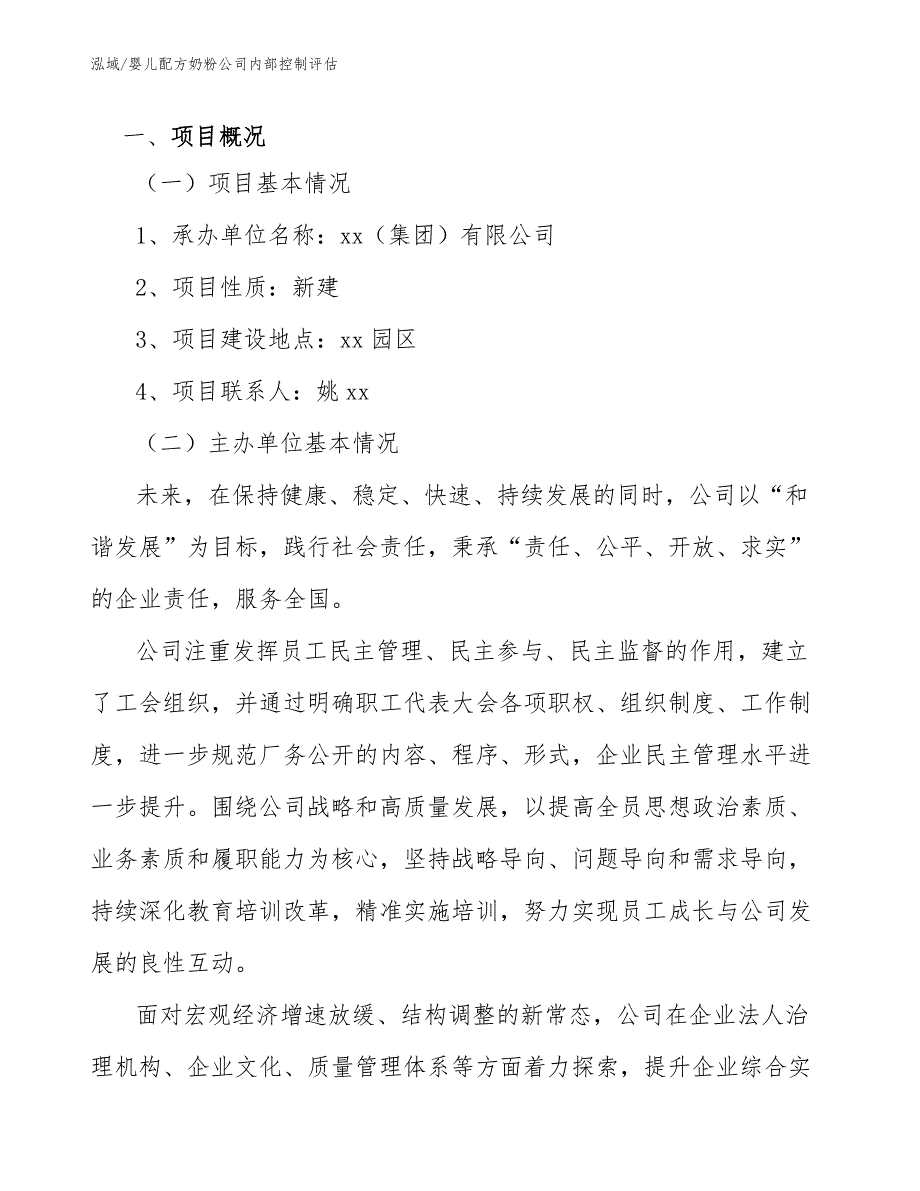 婴儿配方奶粉公司内部控制评估（参考）_第3页