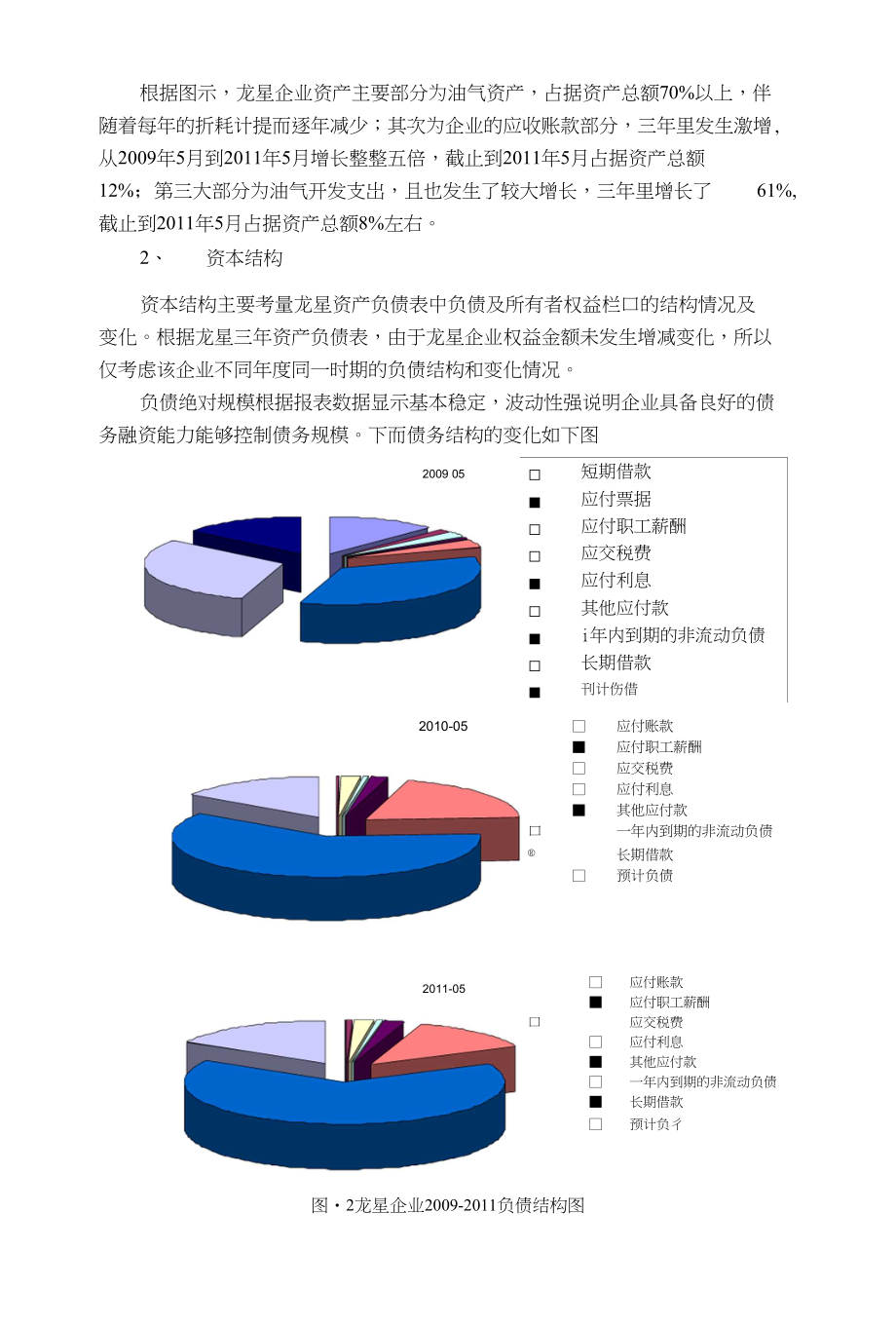 龙星财务报表分析_第2页