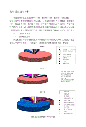 龙星财务报表分析