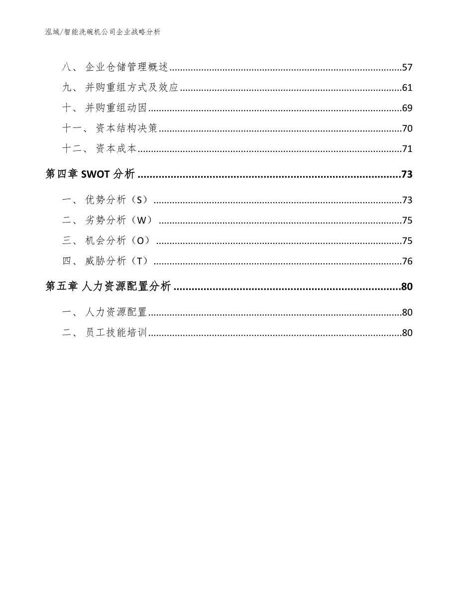 智能洗碗机公司企业战略分析【范文】_第2页