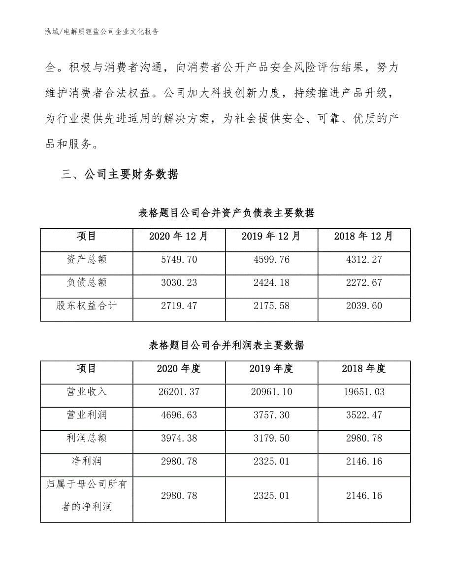 电解质锂盐公司企业文化报告_范文_第5页