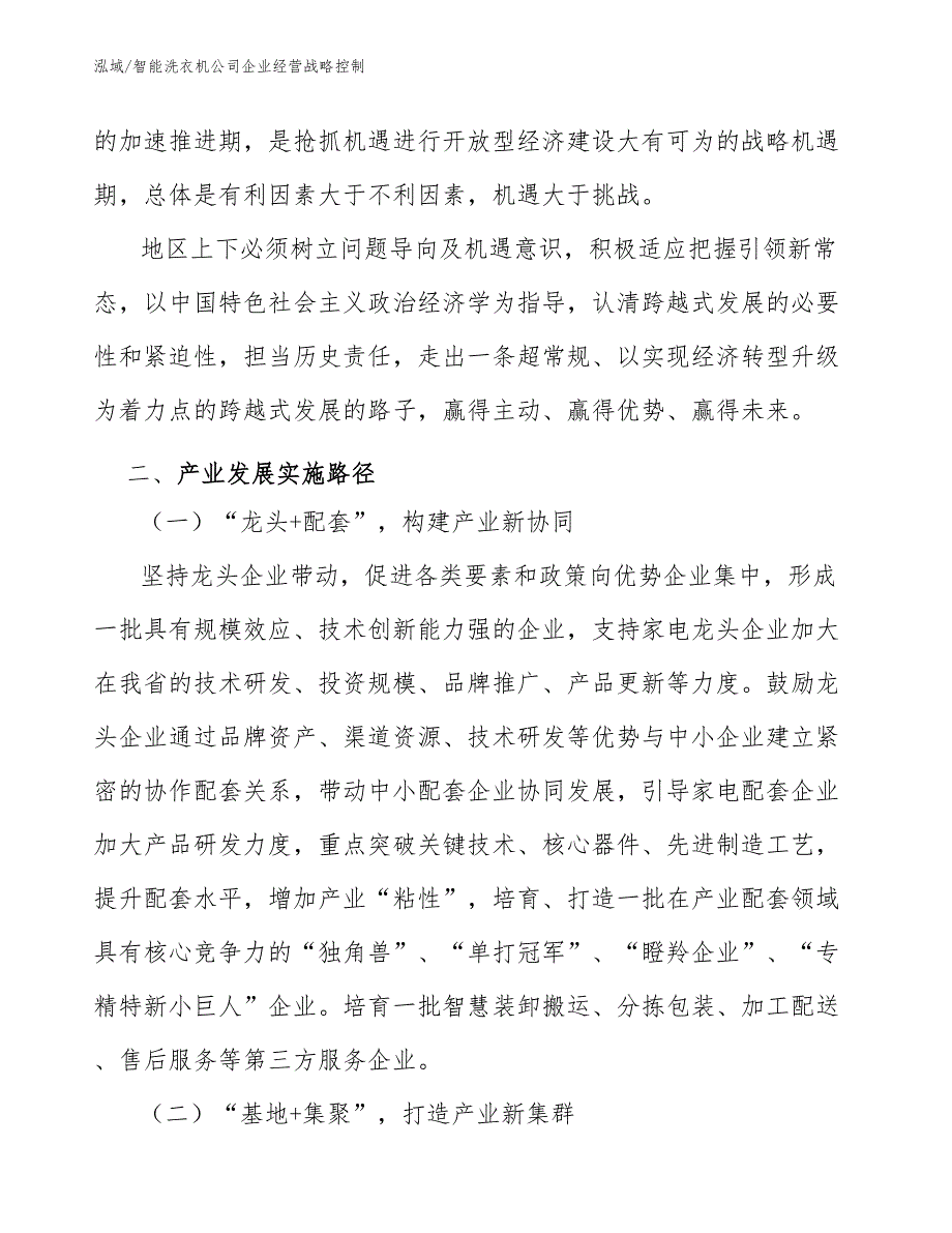 智能洗衣机公司企业经营战略控制_第4页