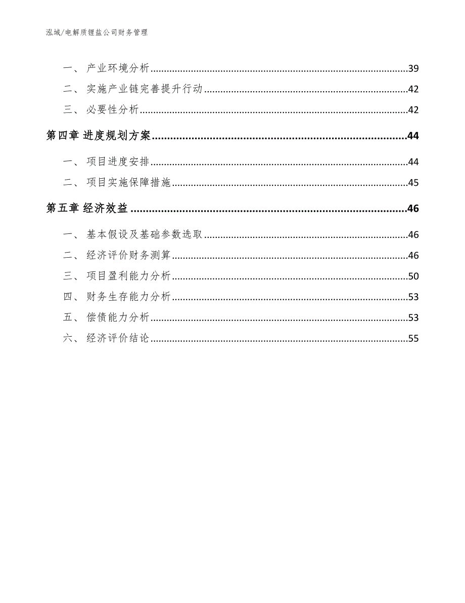 电解质锂盐公司财务管理_第3页