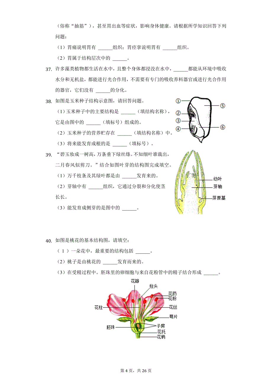 2020-2021学年广西玉林市七年级（上）期末生物试卷（附详解）_第4页