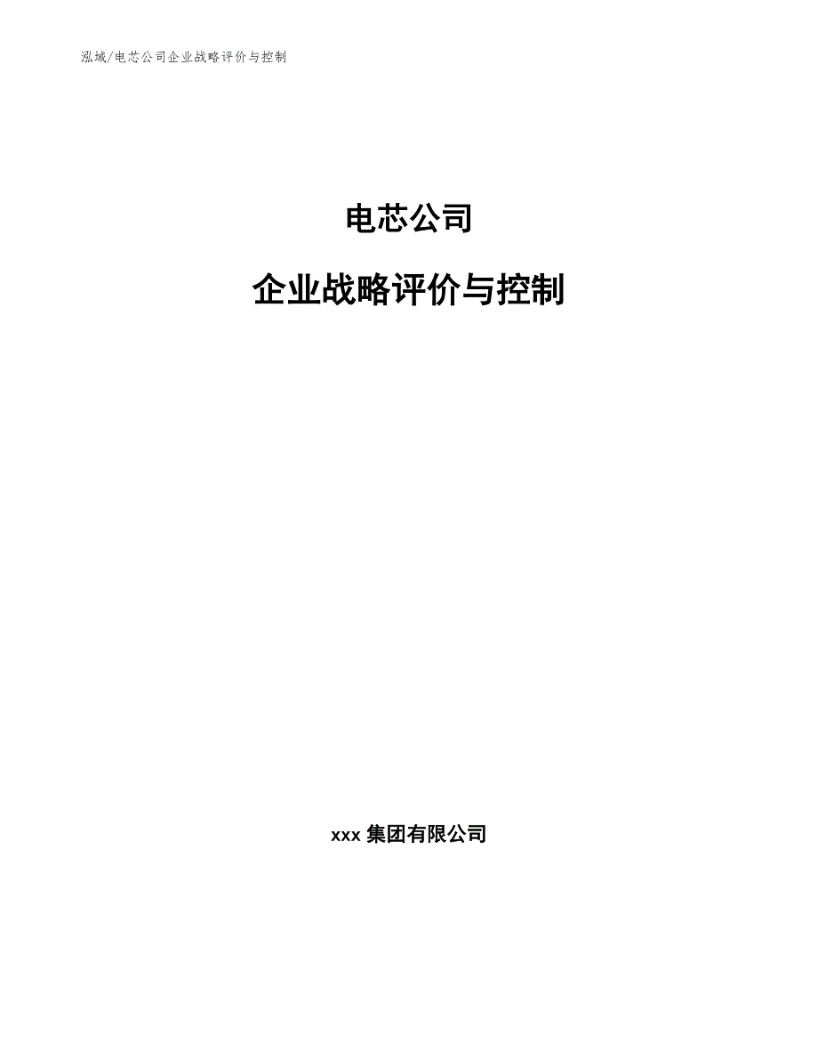 电芯公司企业战略评价与控制_范文_第1页