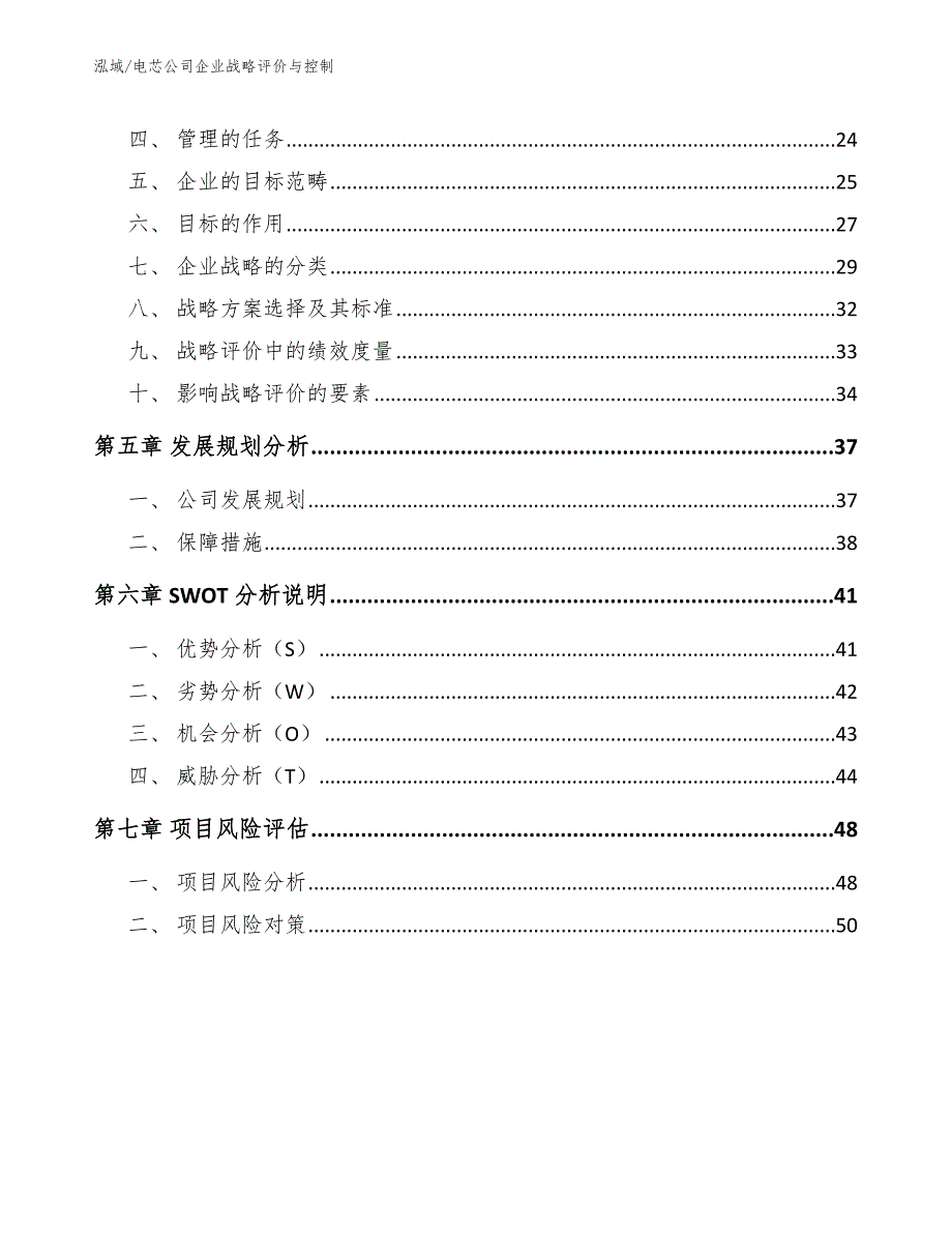 电芯公司企业战略评价与控制_范文_第3页