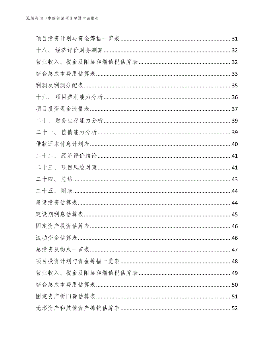 电解铜箔项目建设申请报告_模板范文_第2页