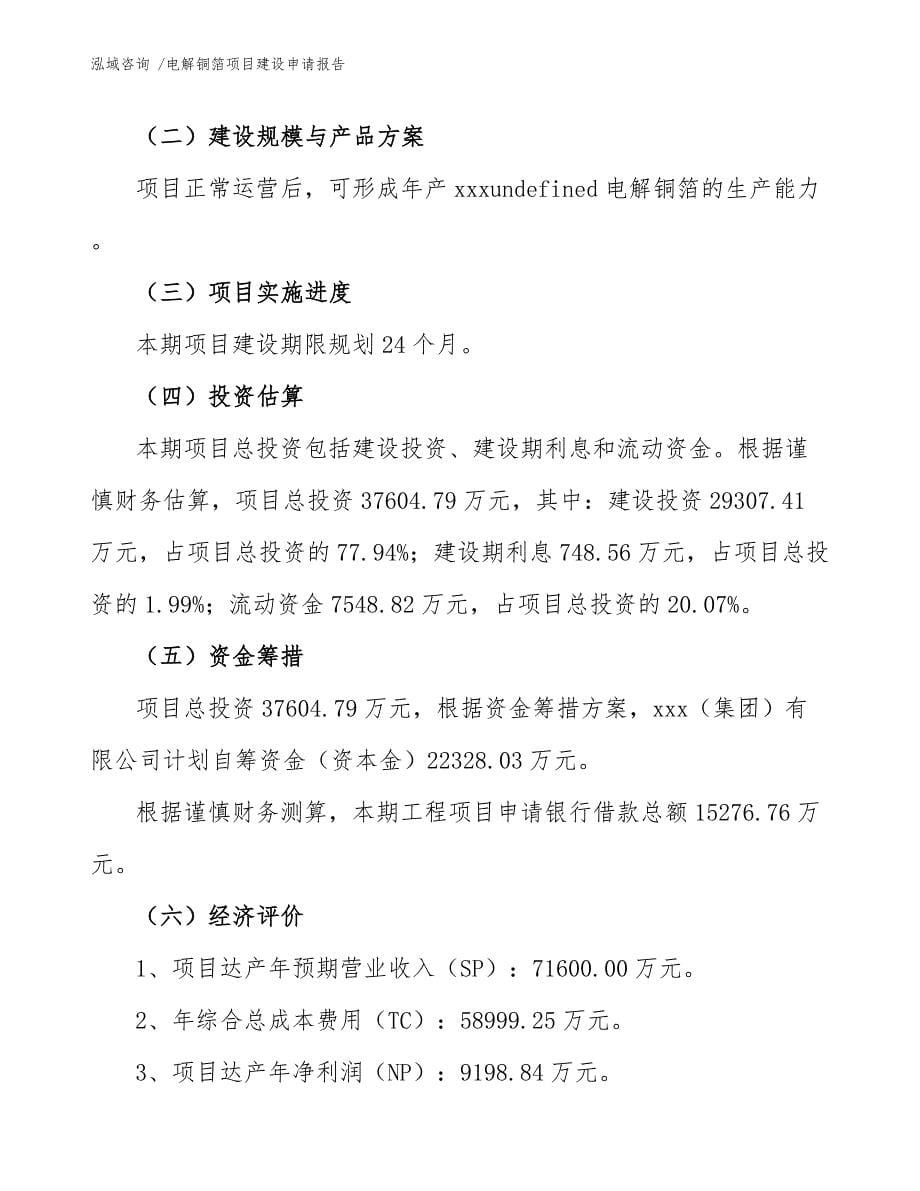 电解铜箔项目建设申请报告_模板范文_第5页