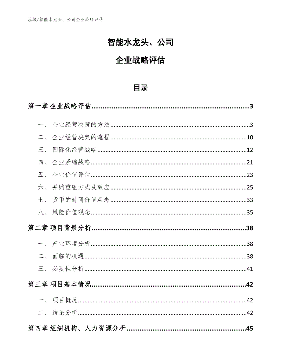 智能水龙头、公司企业战略评估（范文）_第1页