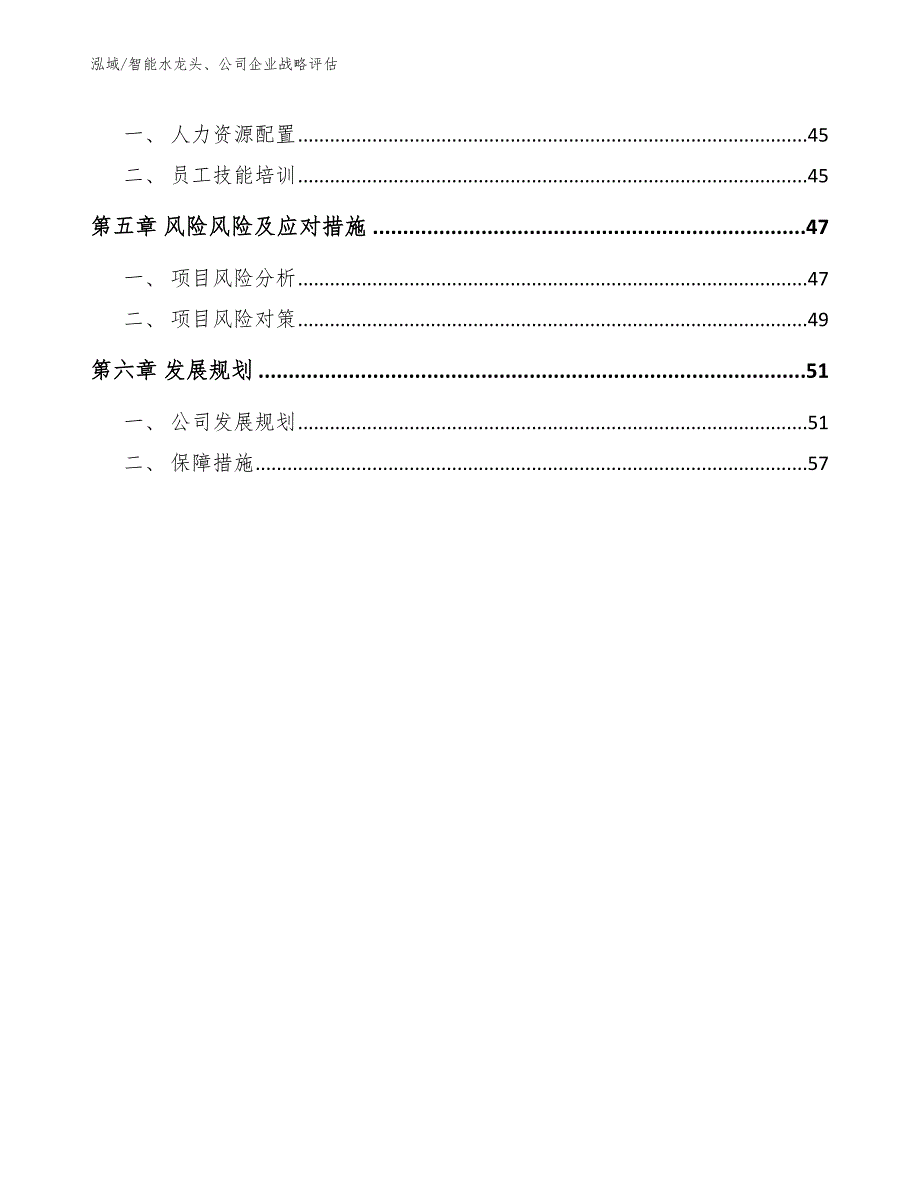 智能水龙头、公司企业战略评估（范文）_第2页