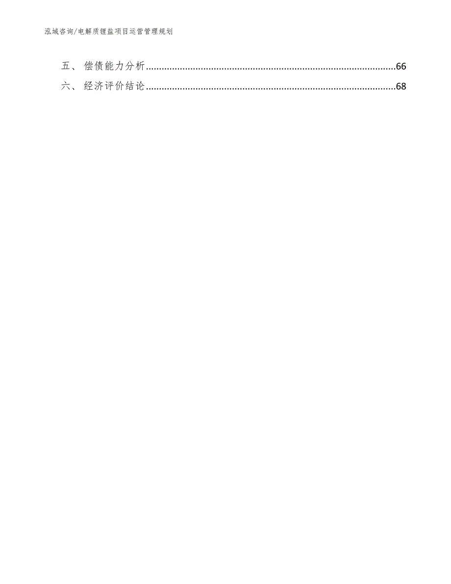 电解质锂盐项目运营管理规划（范文）_第3页