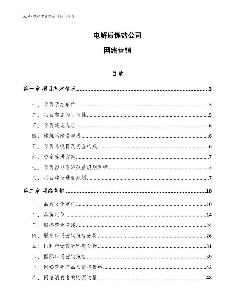 电解质锂盐公司网络营销（参考）_第1页