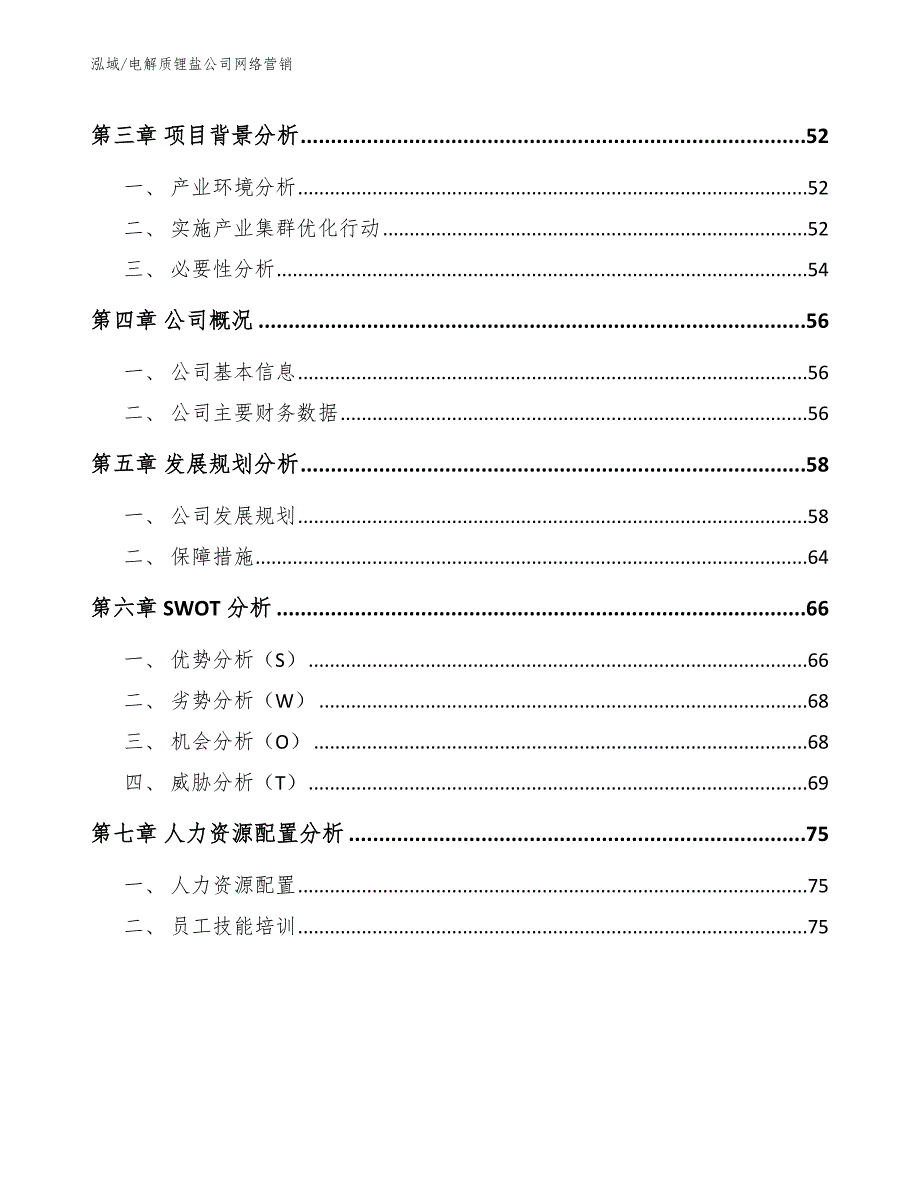 电解质锂盐公司网络营销（参考）_第2页